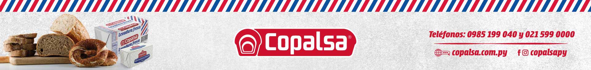 /productos?q=copalsa&post_type=product