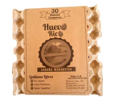 HUEVO CAMPERO  X 30 UNI HUEVO RICO