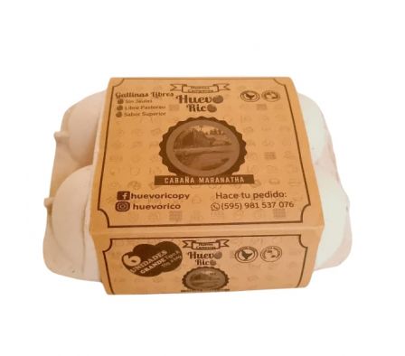 HUEVO CAMPERO  X 6 UNI HUEVO RICO