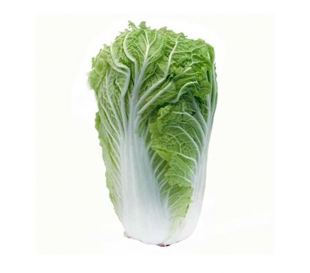 ACELGA JAPONESA X KG.