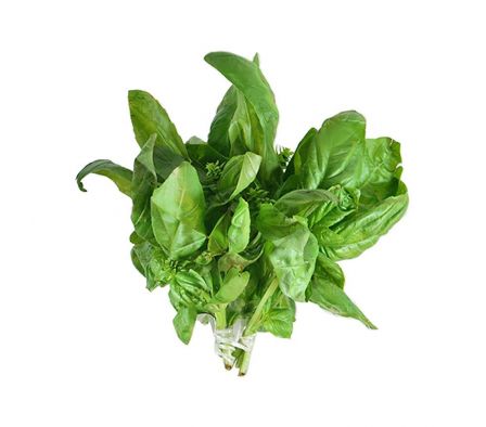 ALBAHACA X UN.