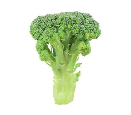 BROCOLI X UN.