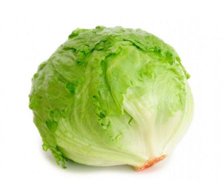 LECHUGA REPOLLADA IMPORTADA X KG.