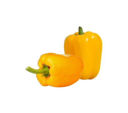 LOCOTE  AMARILLO X KG.