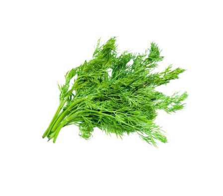 HOJA DE ENELDO NG X UN.