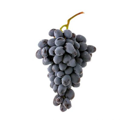UVA NEGRA SIN SEMILLA X KG.