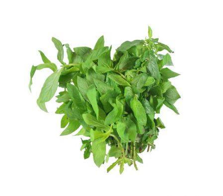 MENTA'I X UN.