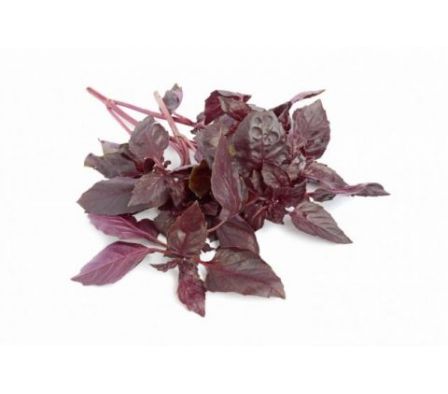 ALBAHACA MORADA X UN.