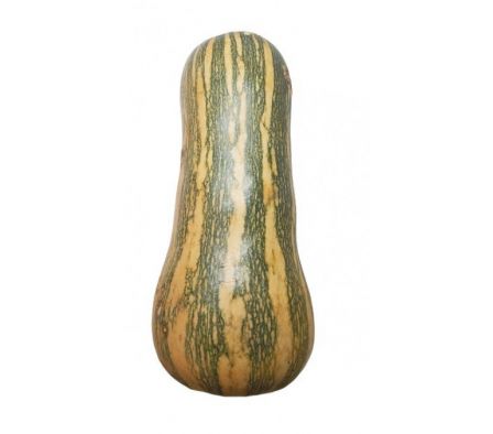 CALABACITA IMPORTADO  X KG.