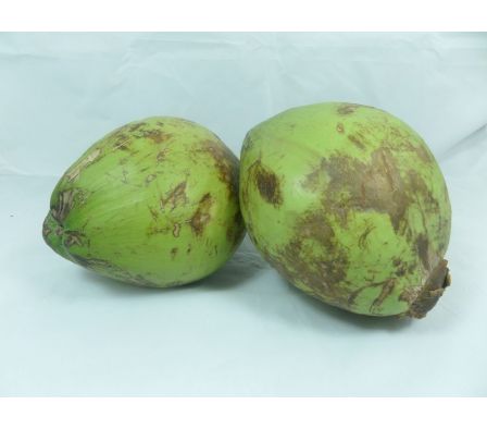 COCO VERDE X UN