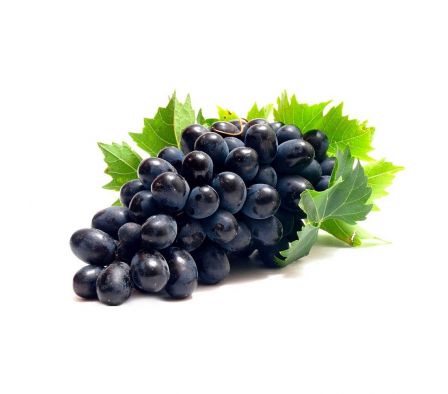 UVA NEGRA BRAS. X KG.