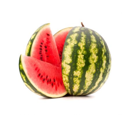 SANDIA X KG