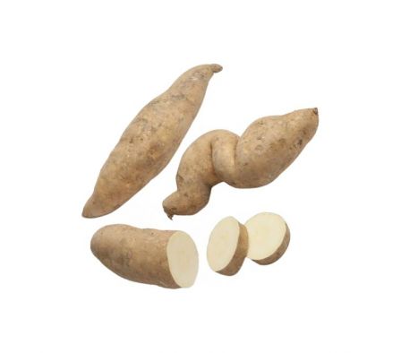 BATATA BLANCA IMPORTADA X KG