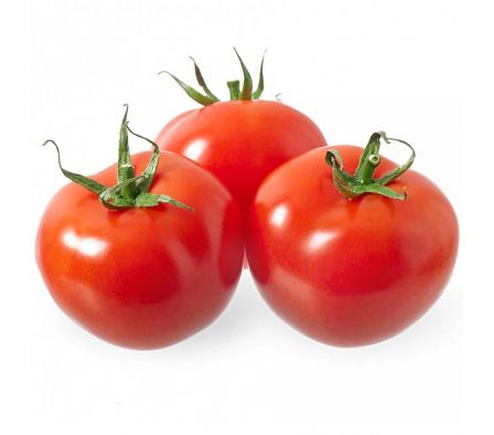 TOMATE HOLANDES HIDROPONICO SOLEIL X KL