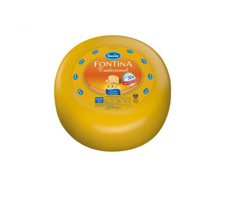 QUESO FONTINA SANCOR