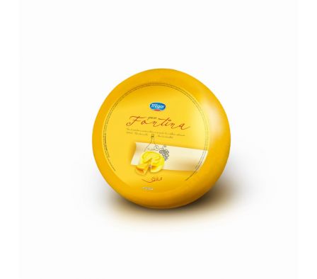 QUESO TREGAR FONTINA