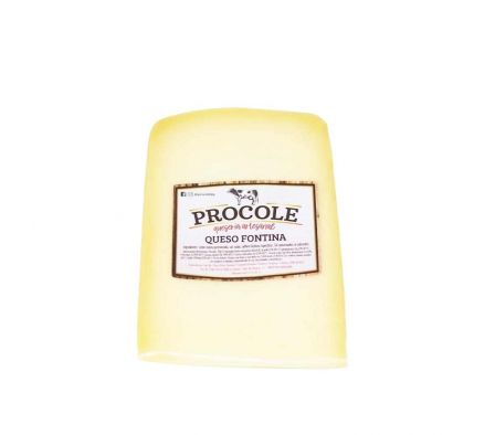 QUESO FONTINA BON APPETIT X KG