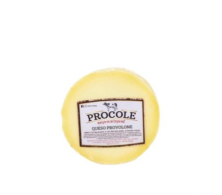 QUESO PROVOLONE BON APPETIT X KG