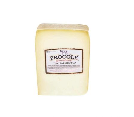 QUESO PARMIGIANO REGGIANO BON APPETIT X KG