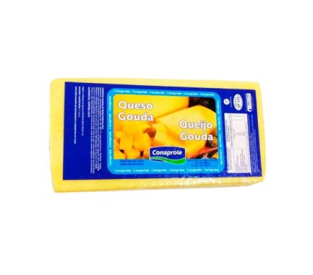 QUESO GOUDA CONAPROLE