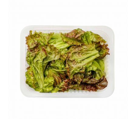 ENSALADA MIX  DE LECHUGAS X KG.
