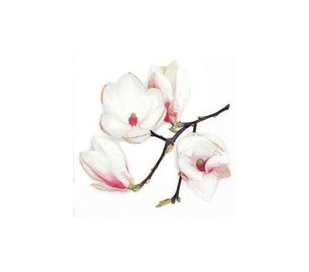 SERVILLETA TIFLAIR WHITE MAGNOLIA  24x24CM