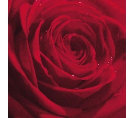 SERVILLETA TIFLAIR ROSE DU MATIN 33X33CMTS