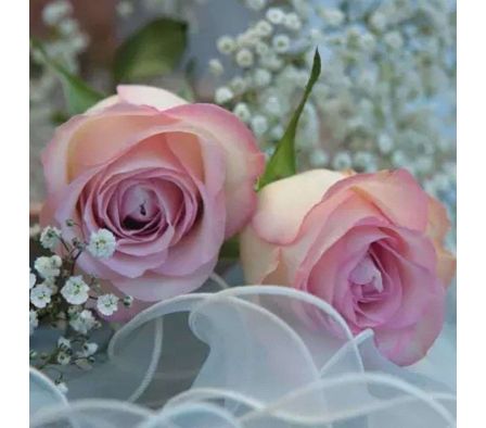 SERVILLETA TIFLAIR AMBIENTE ROMANTICO 33X33CMTS