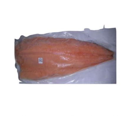 FILET DE SALMON NAVEGANTES CONGELADO X KG