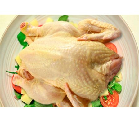 GALLINA CASERA NG X KG