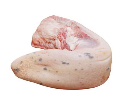 LENGUA X KG