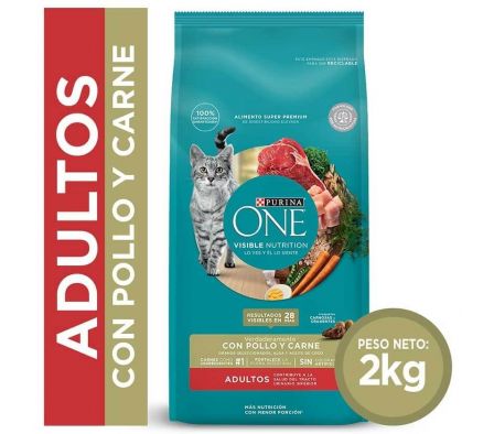 ALIMENTO PARA GATO  ONE SABOR CARNE 2KG