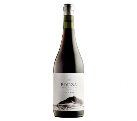 VINO BOUZA PINOT NOIR PAN DE AZUCAR 750ML