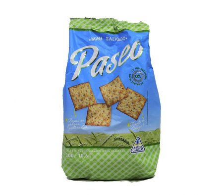 GALLETITA PASEO SALVADO 300GR