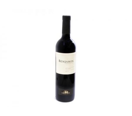 VINO MALBEC  BENJAMIN NIETO SENETINER 750ML