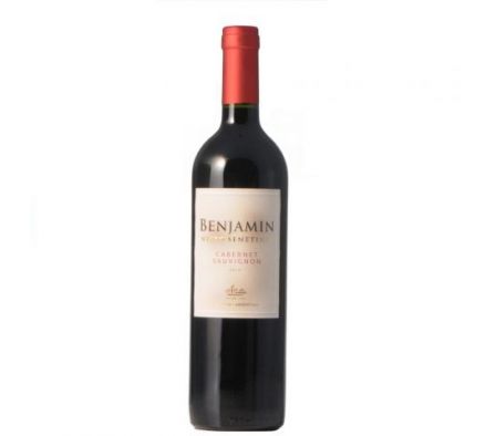 VINO BENJAMIN NIETO SENETINER CAB. SAUV. 750ML