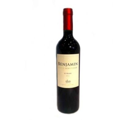 VINO BENJAMIN NIETO SENETINER SYRAH 750ML
