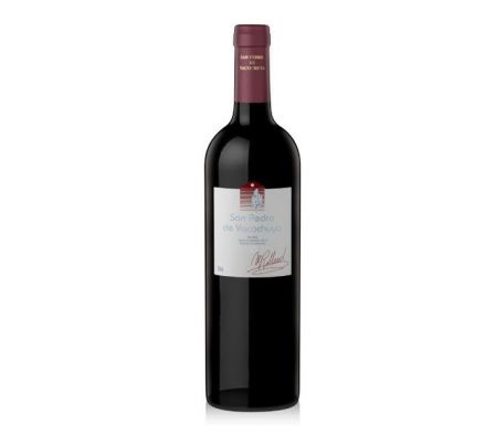 VINO TINTO SAN PEDRO DE YACOCHUYA MALBEC 750ML