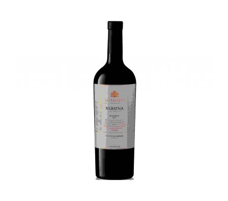 VINO SALENTEIN NUMINA 750ML