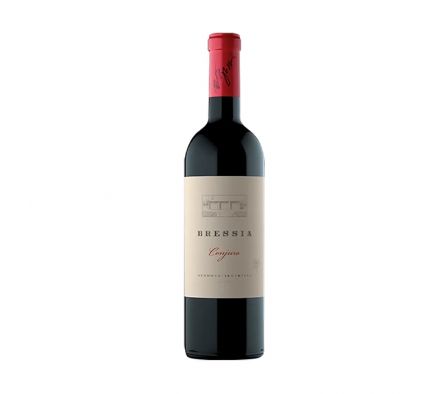 VINO BRESSIA CONJURO 750ML