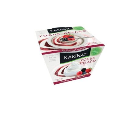 YOGUR HELADO KARINAT FRUTOS DEL BOSQUE 120GR