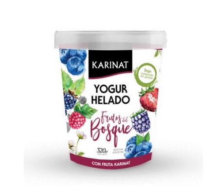 YOGUR HELADO SABOR FRUTOS DEL BOSQUE KARINAT 320