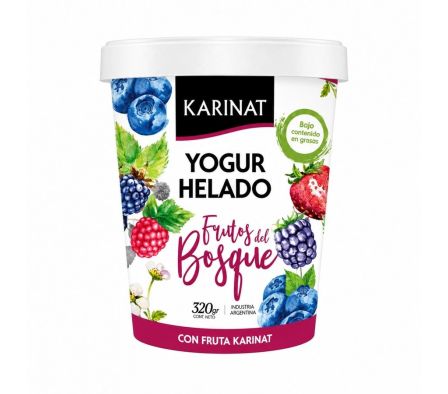 YOGUR HELADO SABOR FRUTOS DEL BOSQUE KARINAT 320