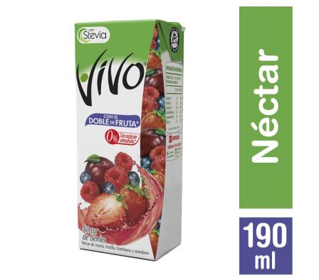 JUGO VIVO NECTAR BERRIES 190ML