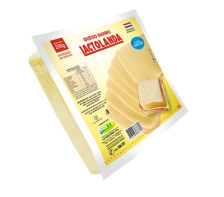 PACK QUESO LACTOLANDA DANBO FETEADO 250GR