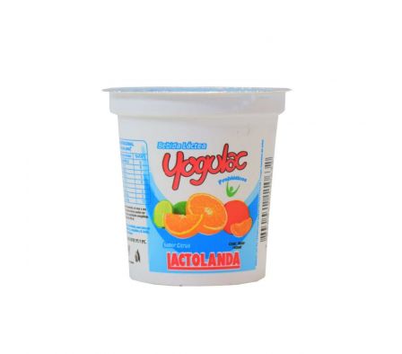 BEBIDA LACTEA YOGULAC CITRUS POTE 140GR