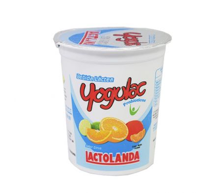 BEBIDA LACTEA YOGULAC CITRUS POTE 350GR