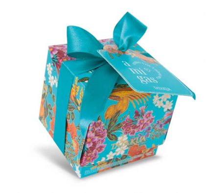 CAJA CABO TATAKUA X 3 ALFAJORES MEGA 