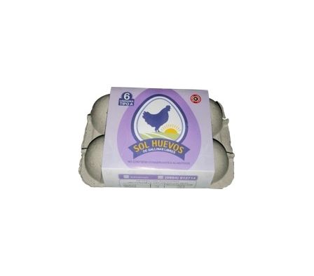 HUEVO SOL  HUEVOS 6 UNIDADES