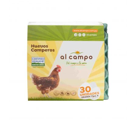 HUEVOS CAMPEROS AL CAMPO TIPO A 30UNID